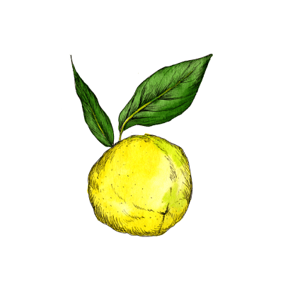 uruotte ベルガモット